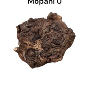 mopani u2.jpg